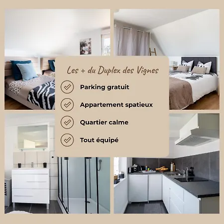 Le Duplex Des Vignes - Calme - Wi-fi - Parking *