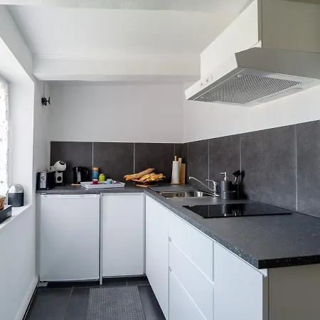 Le Duplex Des Vignes, Ideal Pro, Confortable Et Paisible Dans Le Sundgau En Sud Alsace, Aeroport Bale-mulhouse A 25 Mn En Voiture, Arrivee Autonome, Wi Fi Debit, 2 Places De Parking Gratuit Apartment Waldighoffen
