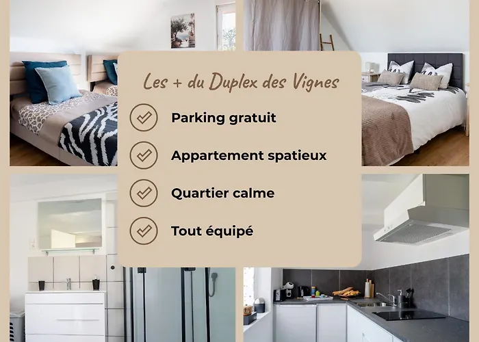 Le Duplex Des Vignes - Calme - Wi-fi - Parking *