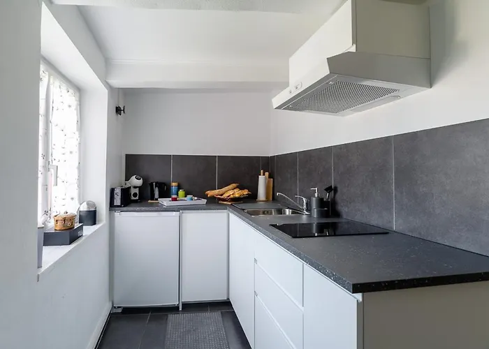 Le Duplex Des Vignes - Calme - Wi-fi - Parking Apartmán Waldighoffen