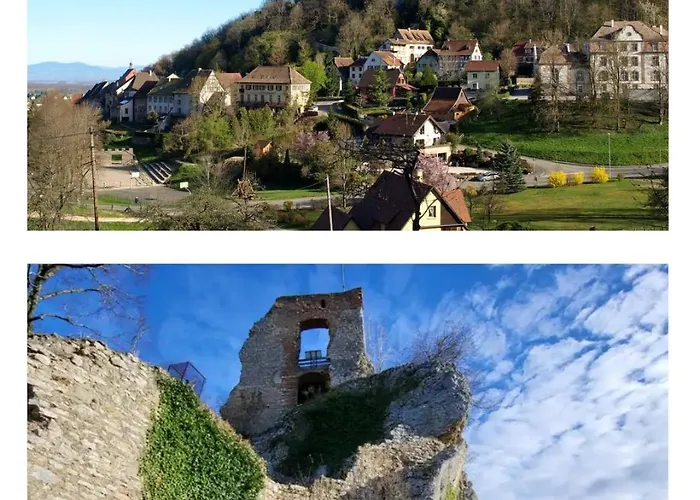 Le Duplex Des Vignes - Calme - Wi-fi - Parking Waldighoffen